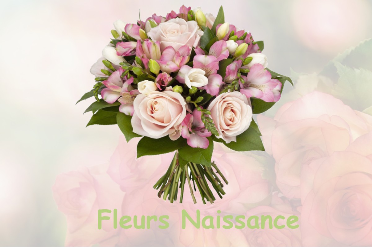 fleurs naissance LA-NEUVEVILLE-SOUS-CHATENOIS