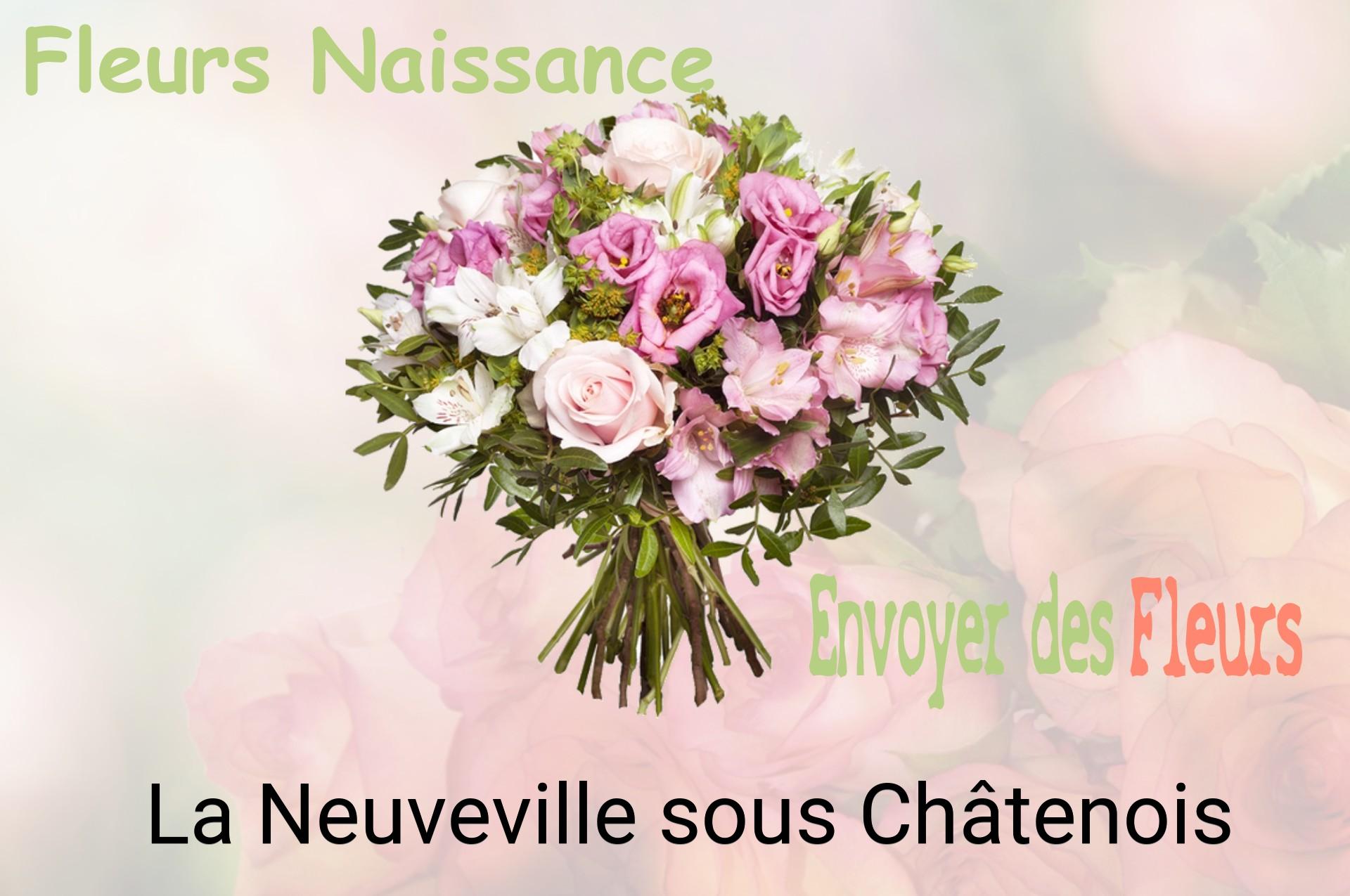Bouquet de fleurs de naissance livré à La Neuveville-sous-Châtenois