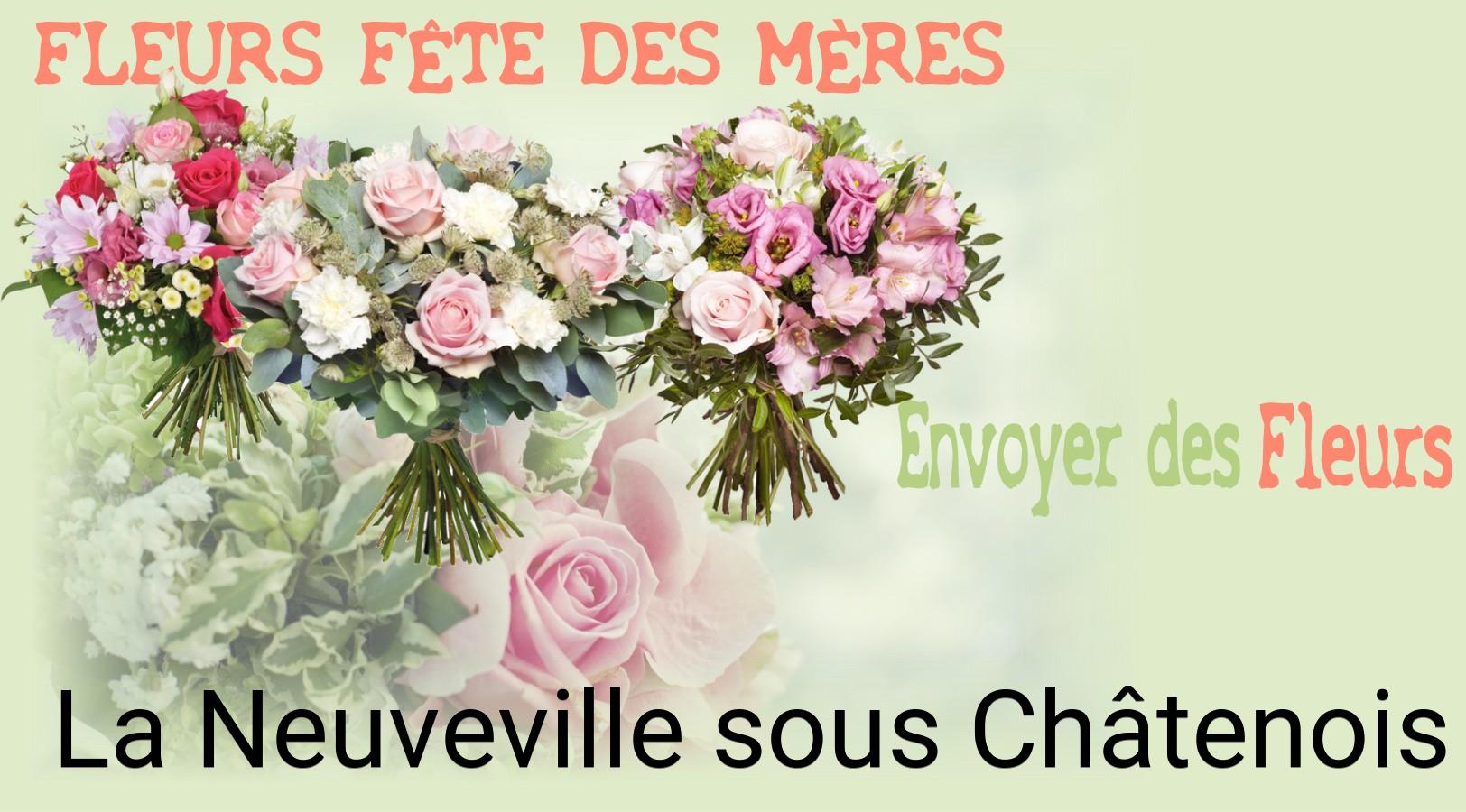 Bouquet de Fête des Mères livré à La Neuveville-sous-Châtenois